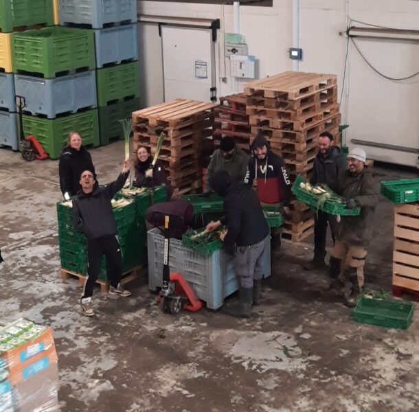 ACI légumes de saison travail agricole